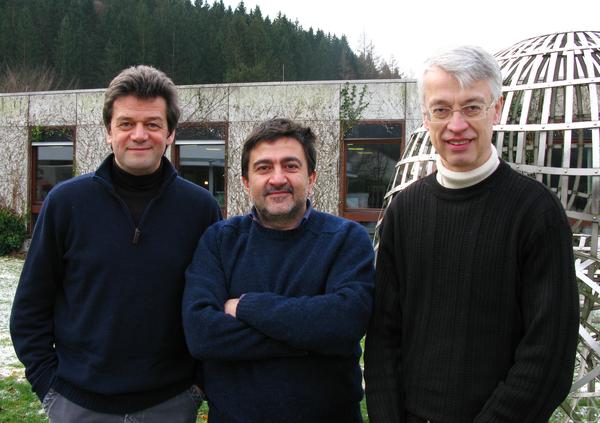 Lev Truskinovsky, Antonio Desimone, Stephan Luckhaus