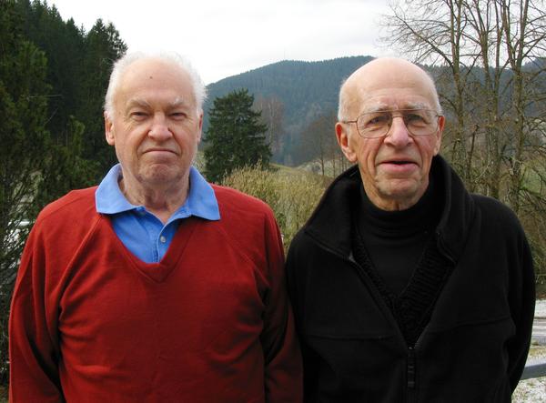 J. Bryce McLeod, Ludwig Erhard Fraenkel