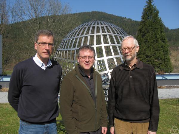 Ewald A. Werner, David L. McDowell, Reinhold Kienzler