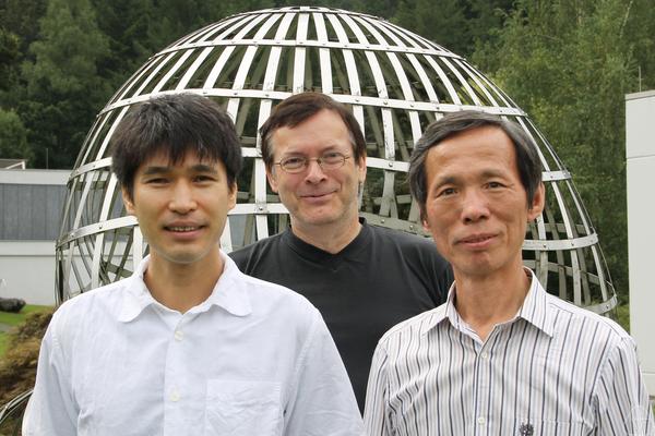 Atsushi Mochizuki, Bernold Fiedler, Hiroshi Matano