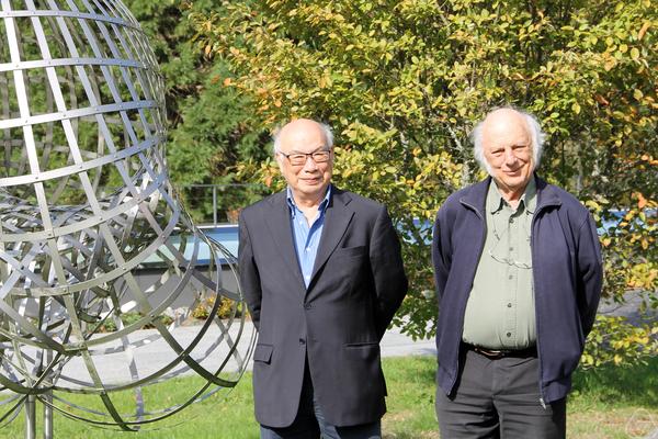 George C. Hsiao, Wolfgang L. Wendland