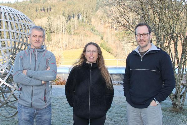 Antonin Chambolle, Mirela Ben-Chen, Benedikt Wirth