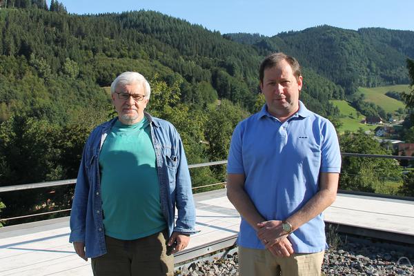 Alexander Degtyarev, Ilia Itenberg